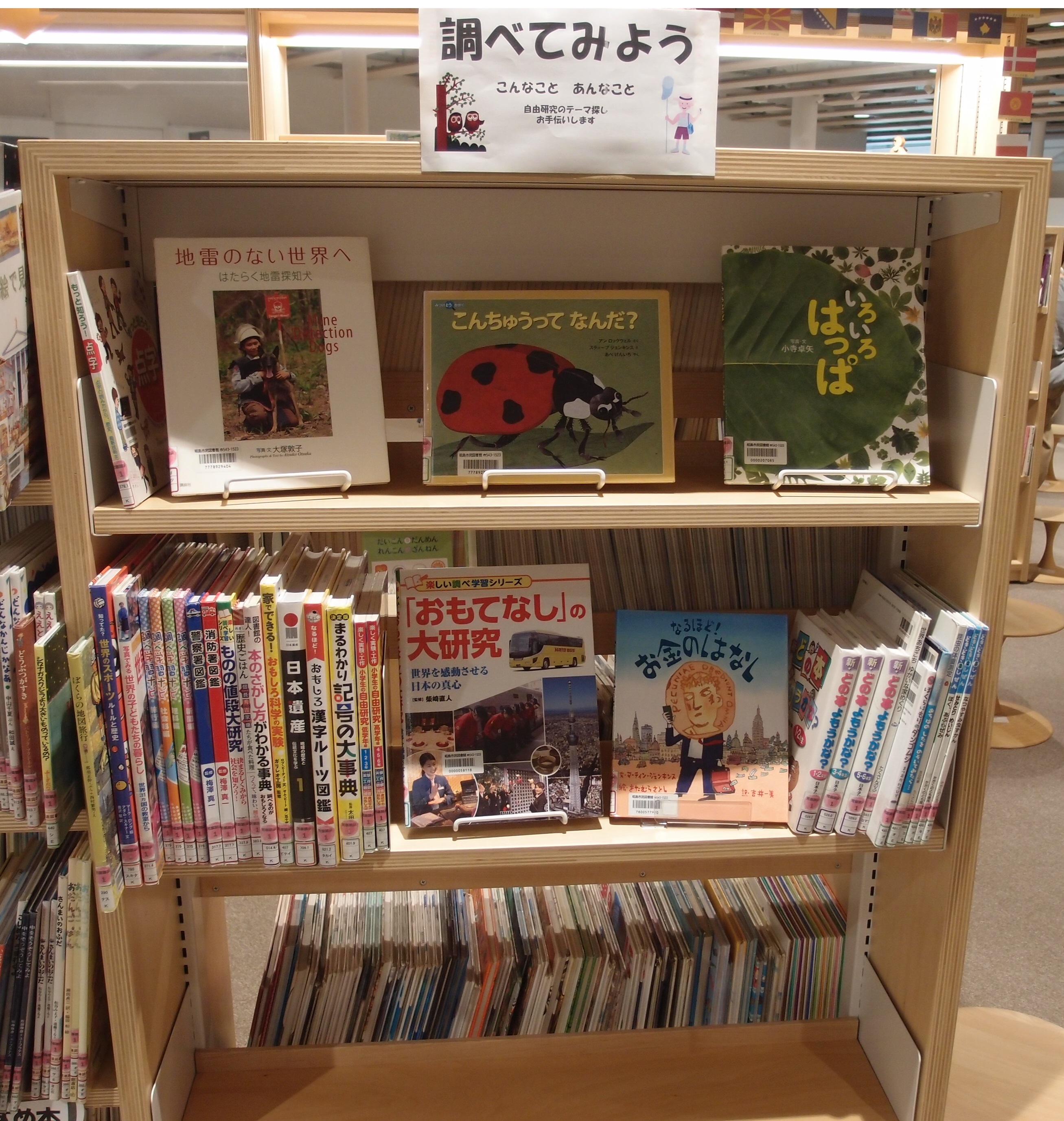 夏休み宿題応援の展示写真