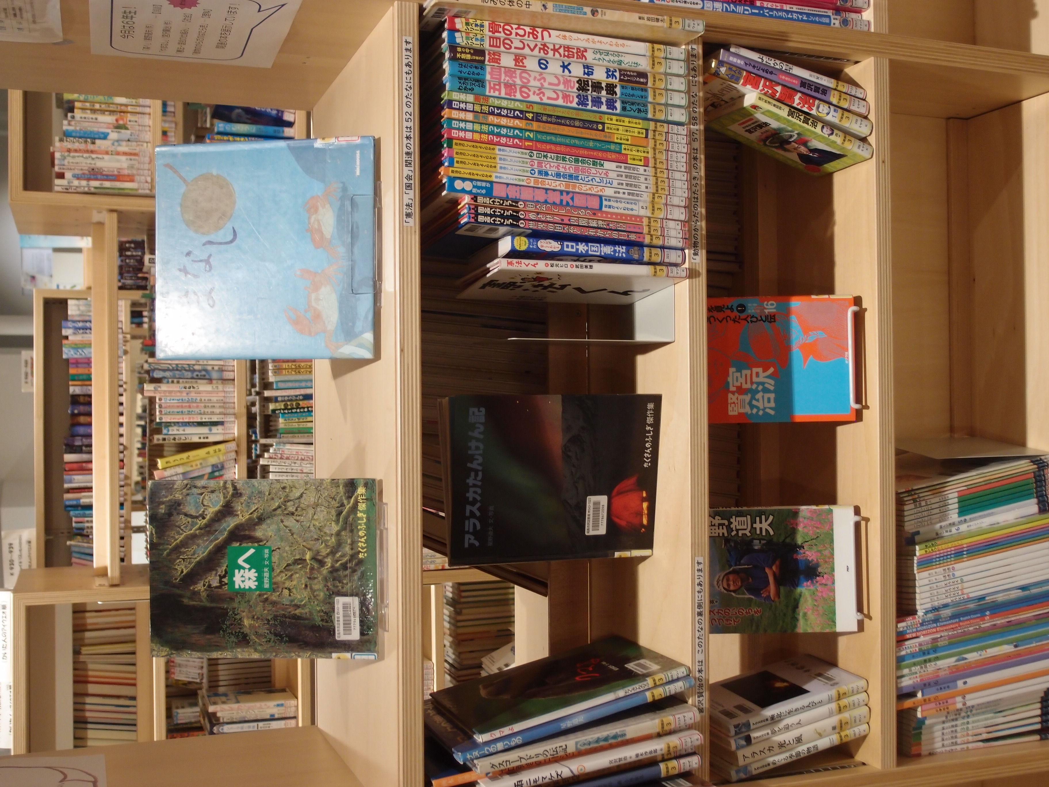 教科書に関する展示の写真