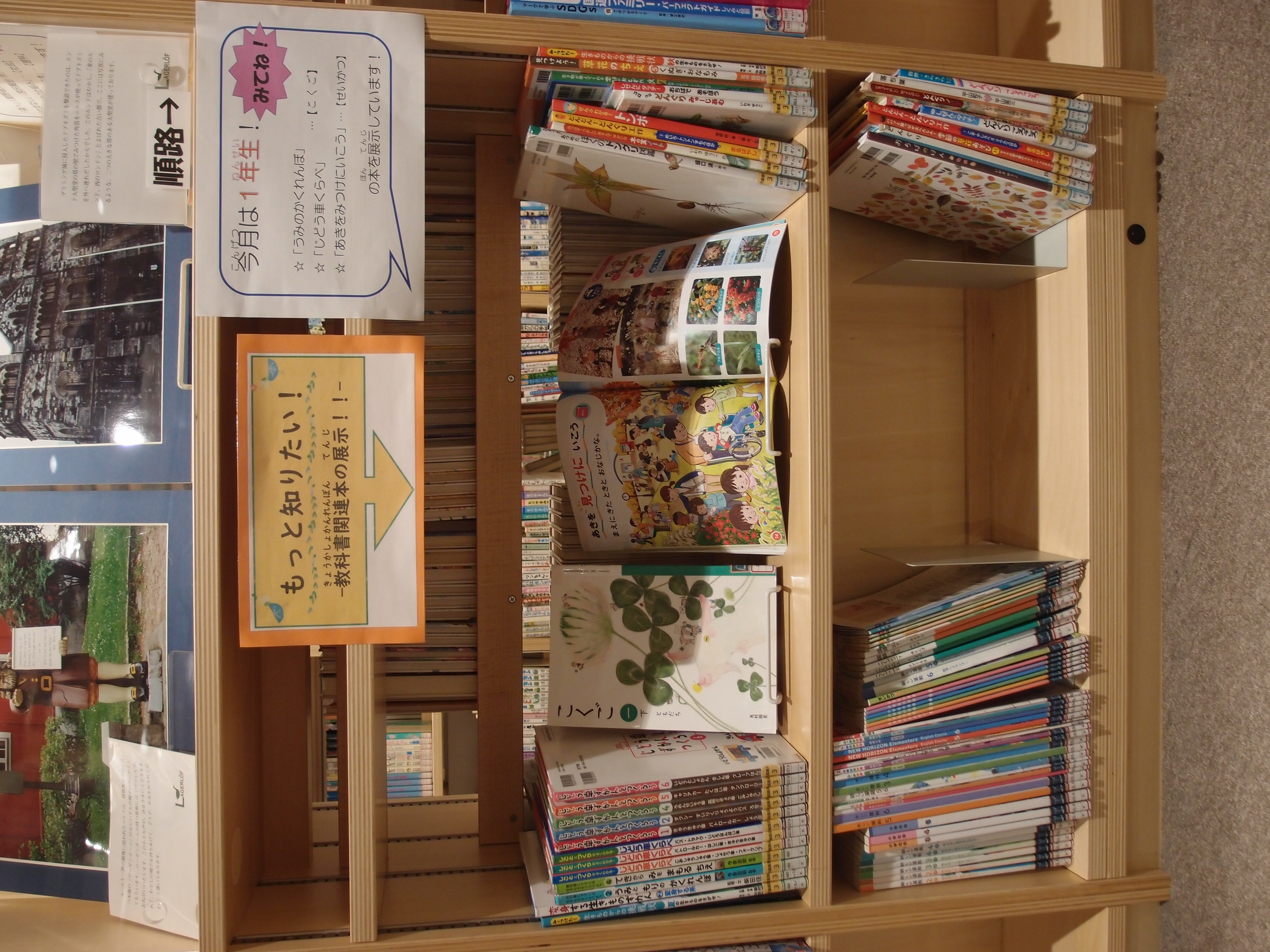 教科書展示の写真