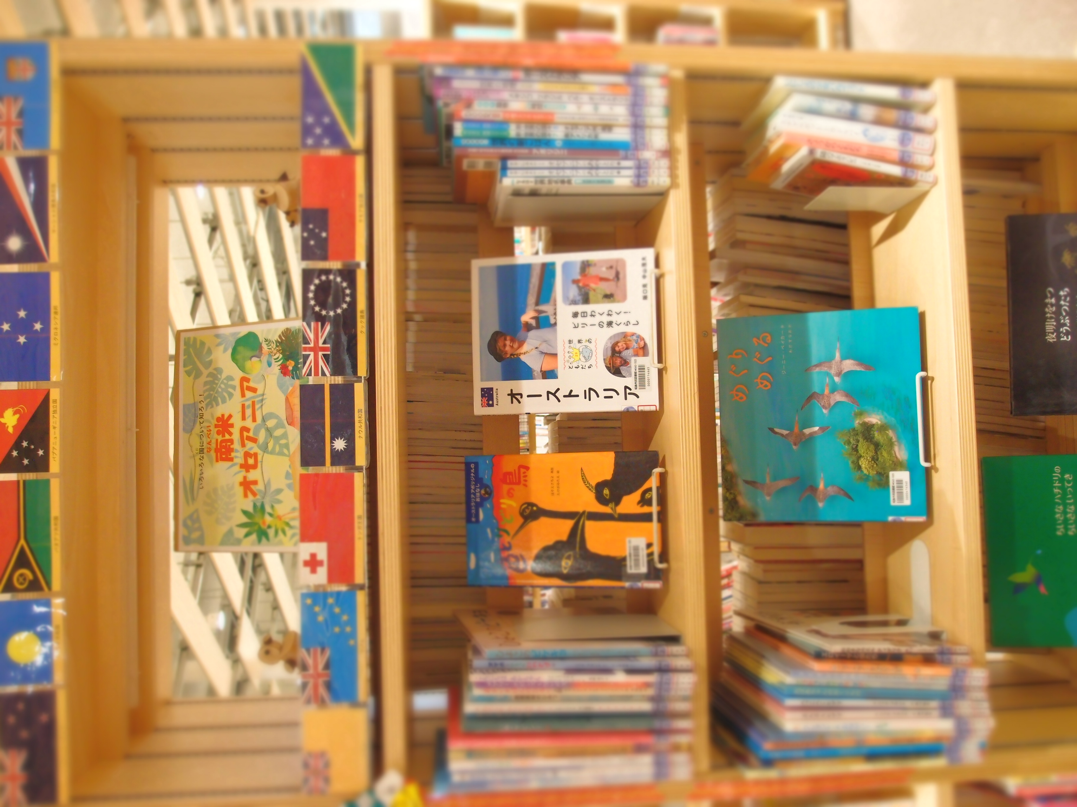 南米オセアニアに関する児童書の展示の写真
