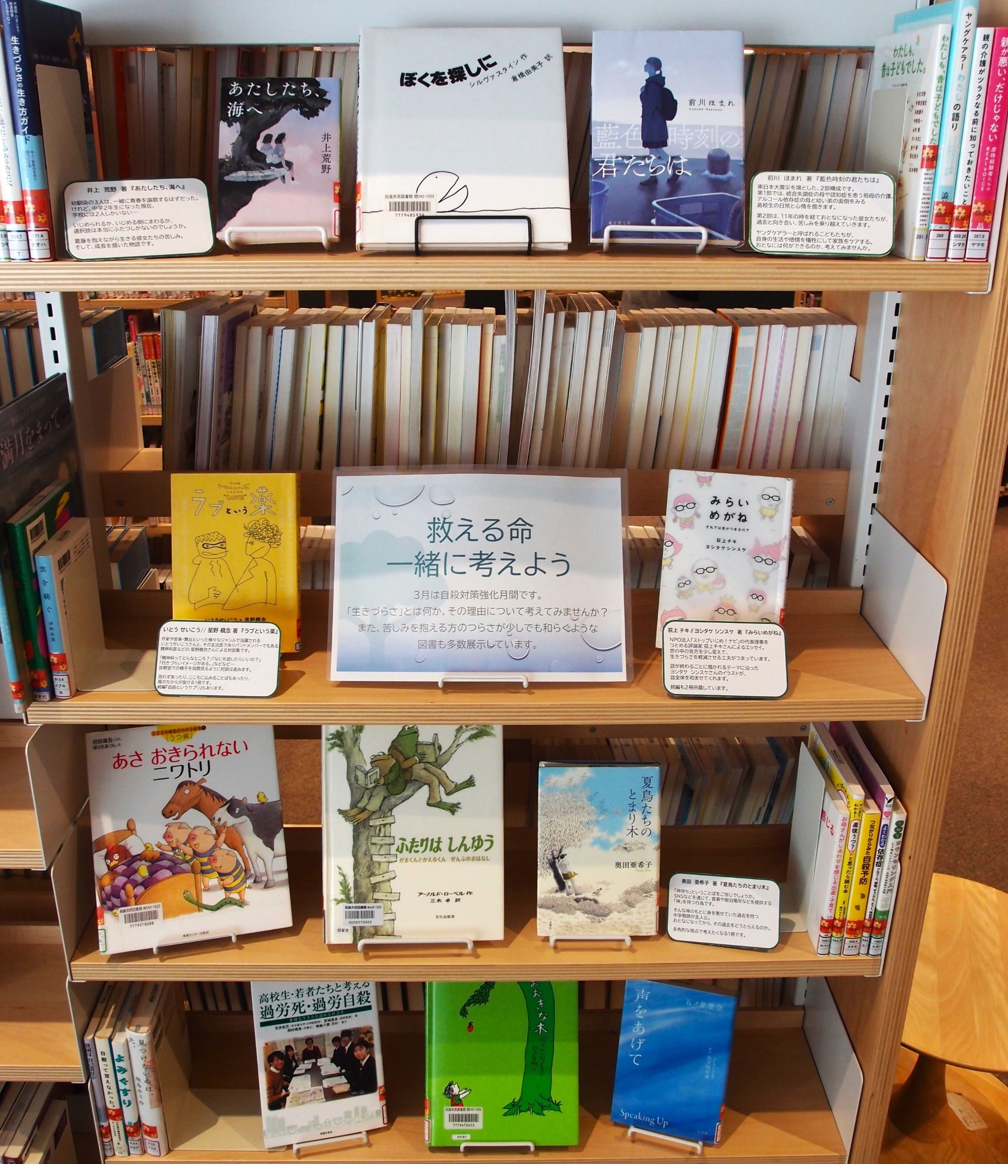 展示の本が本棚に並んでいる様子の写真