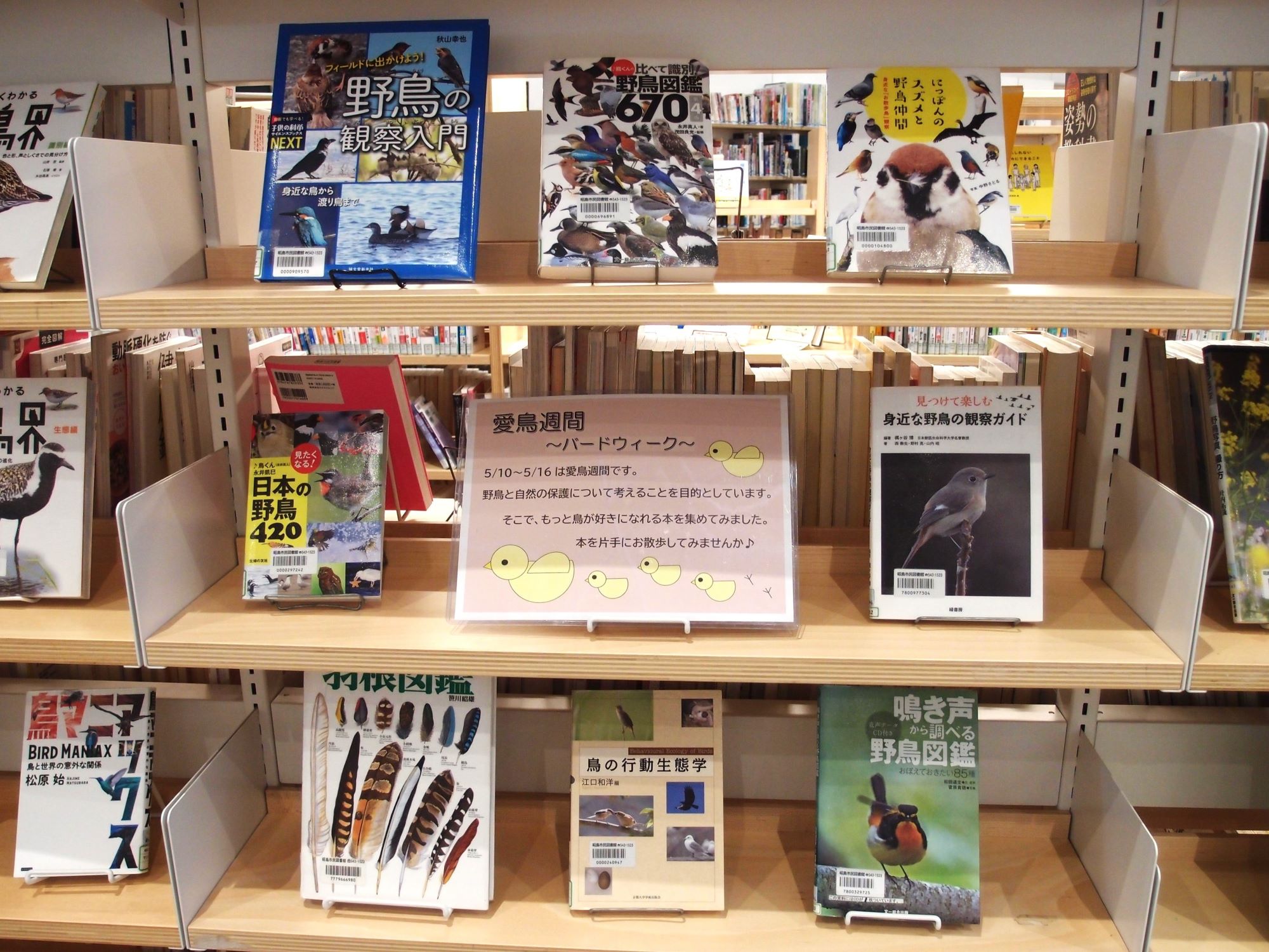 棚に展示の本が並んでいる写真