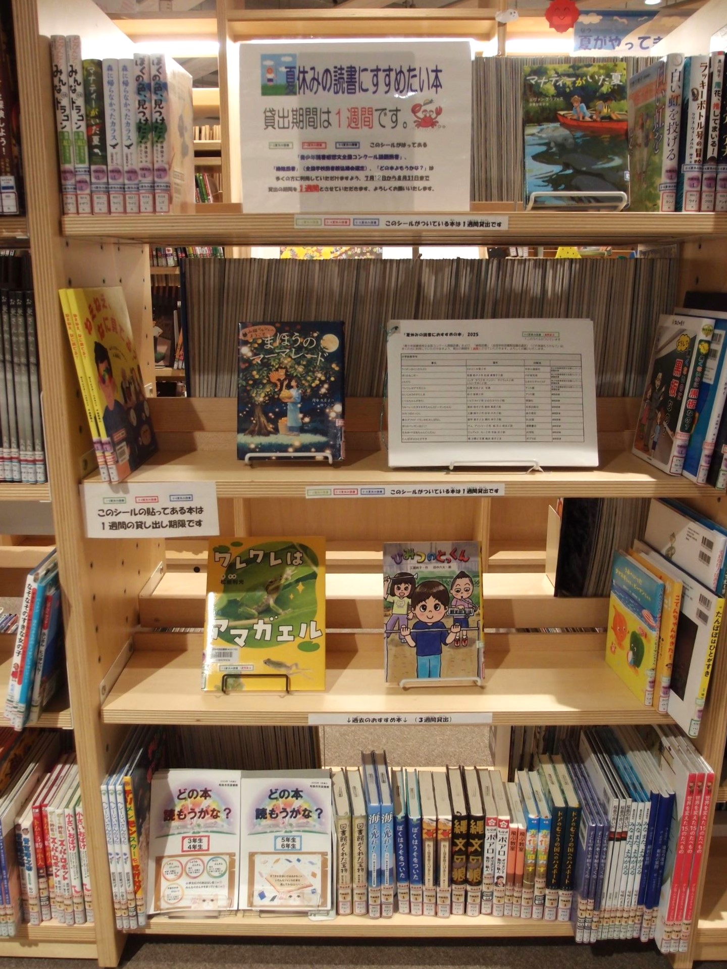 展示の本が棚に並んでいる様子の写真