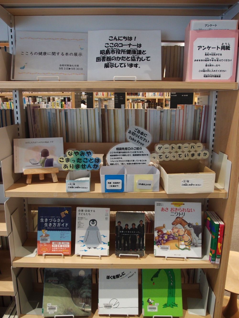 展示の本が棚に並んでいる様子の写真