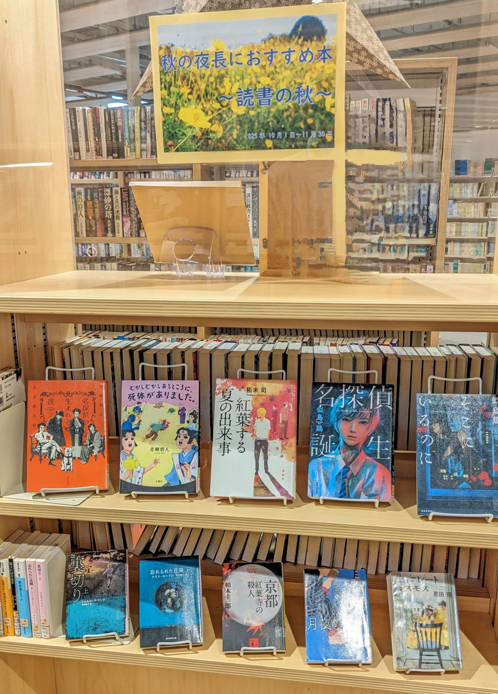 展示の本が棚に並んでいる様子の写真