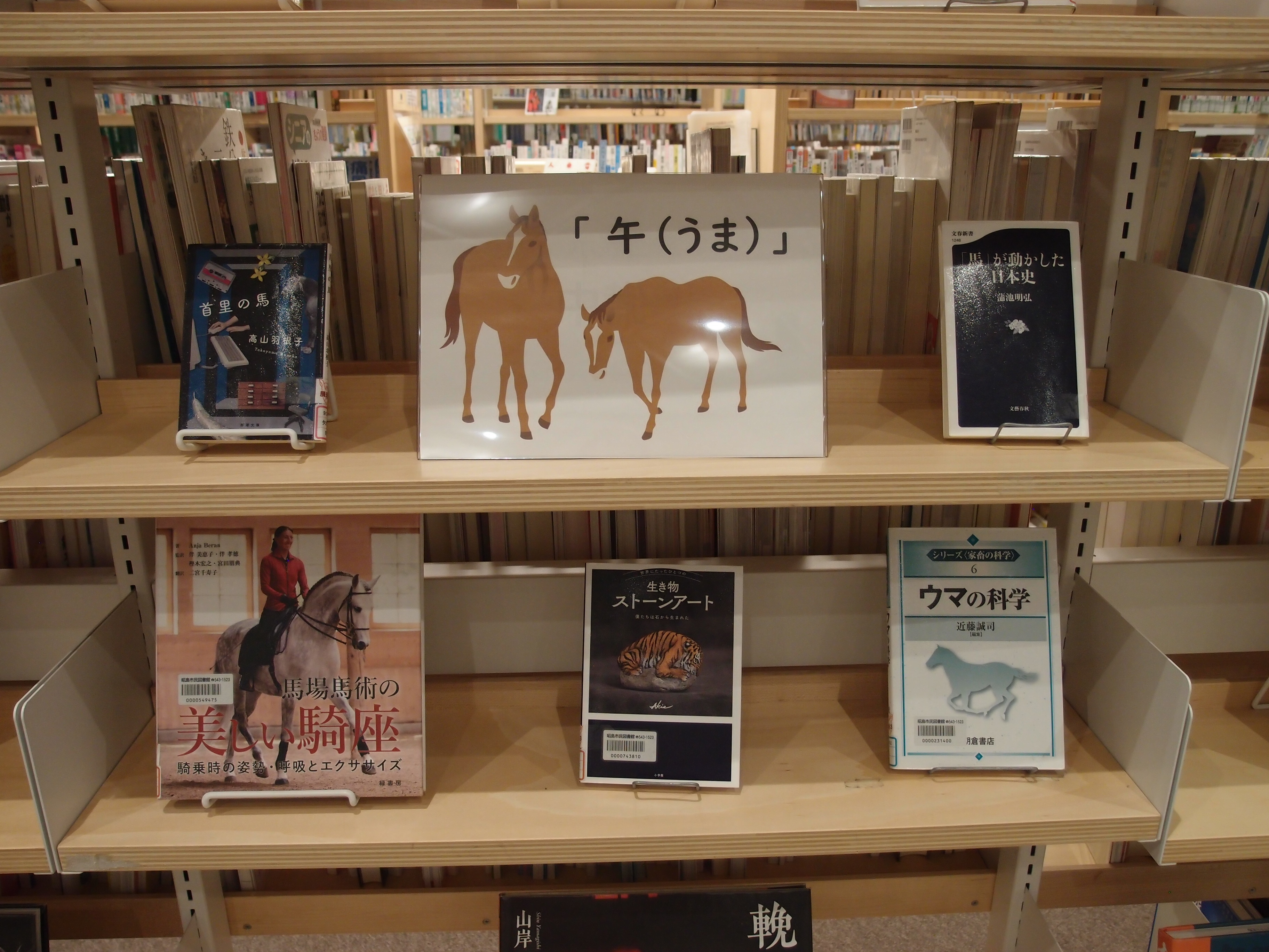 展示の本が棚に並んでいる様子の写真
