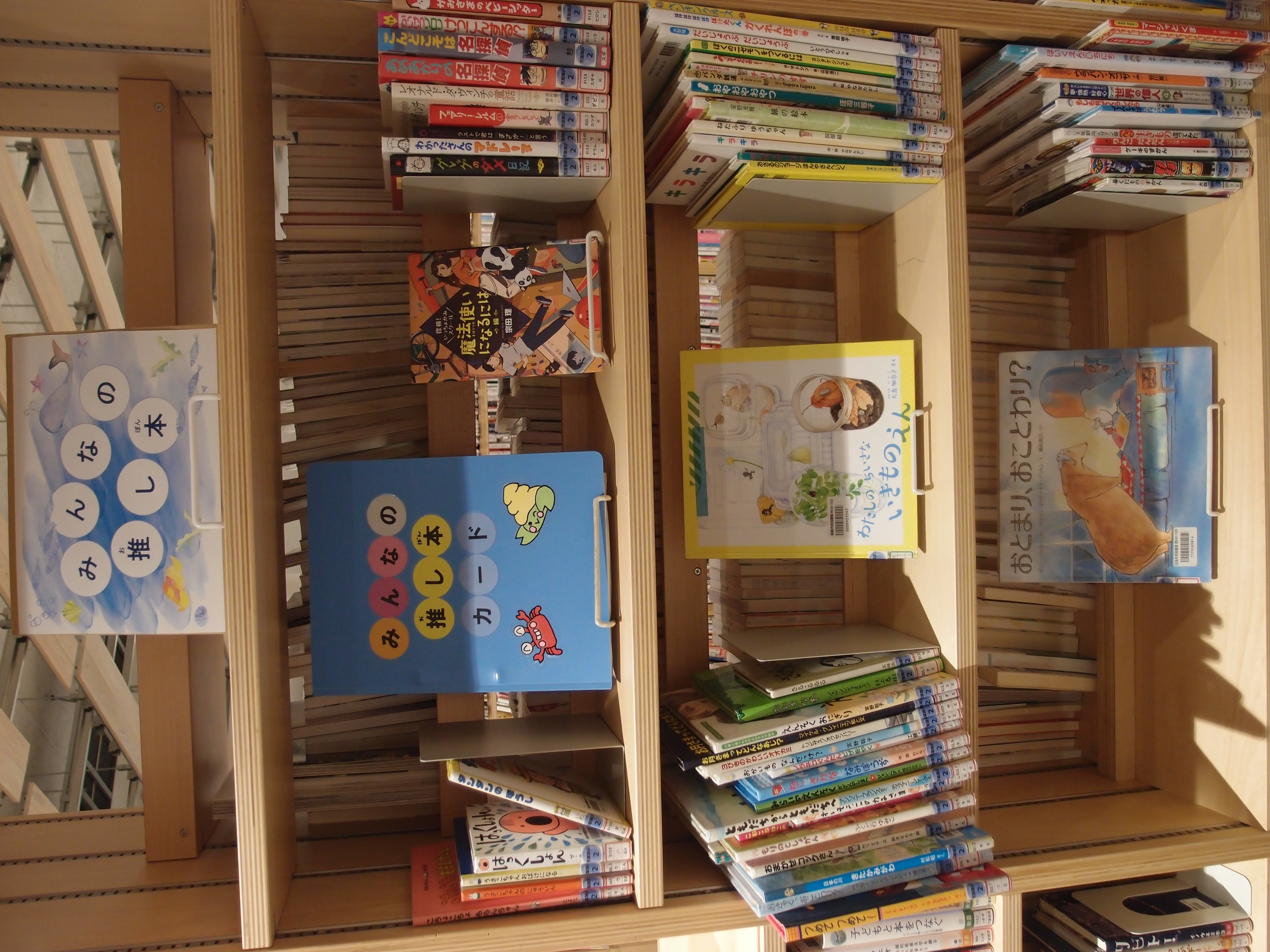 展示の本が棚に並んでいる様子の写真