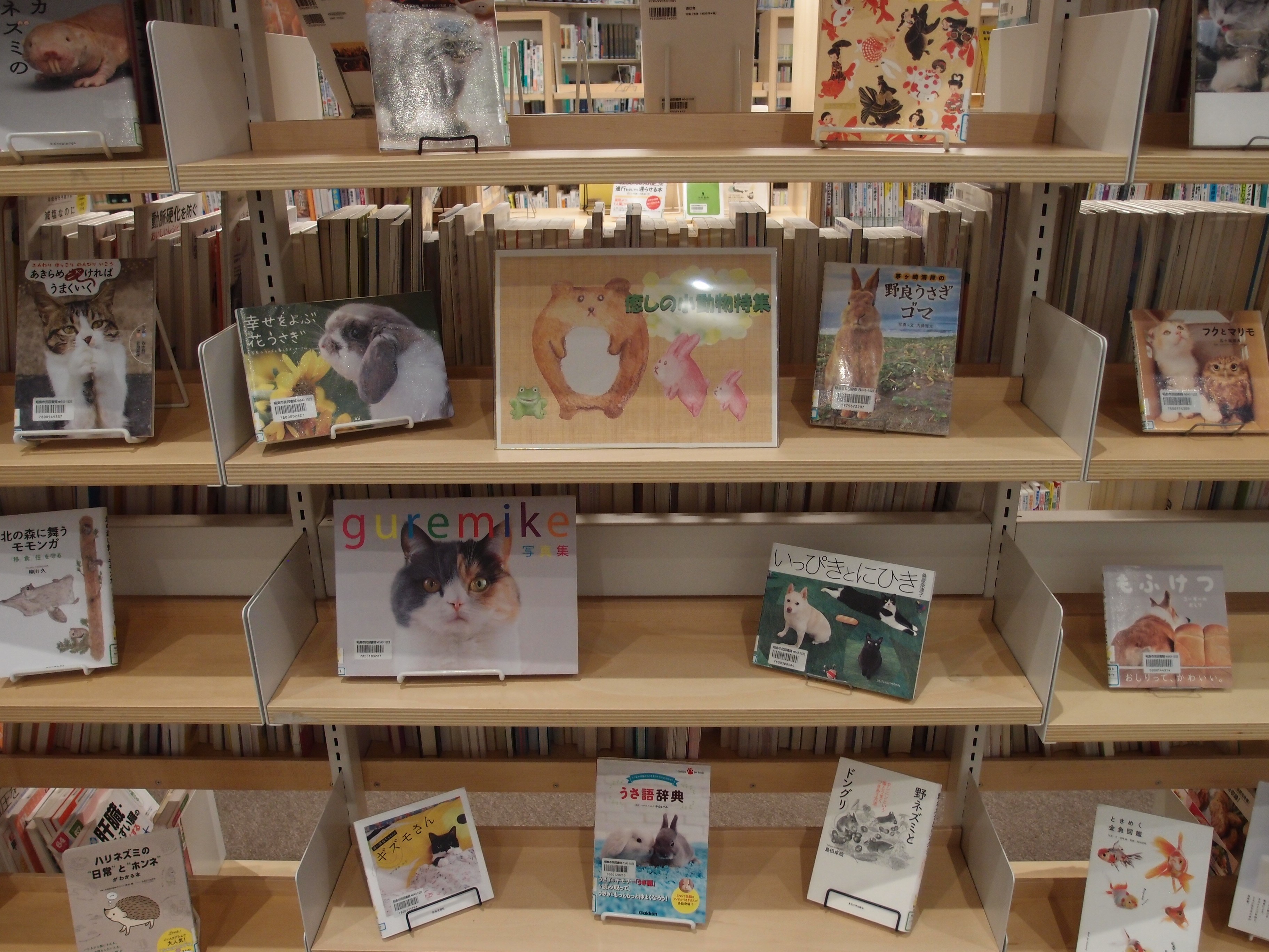 展示の本が棚に並んでいる様子の写真
