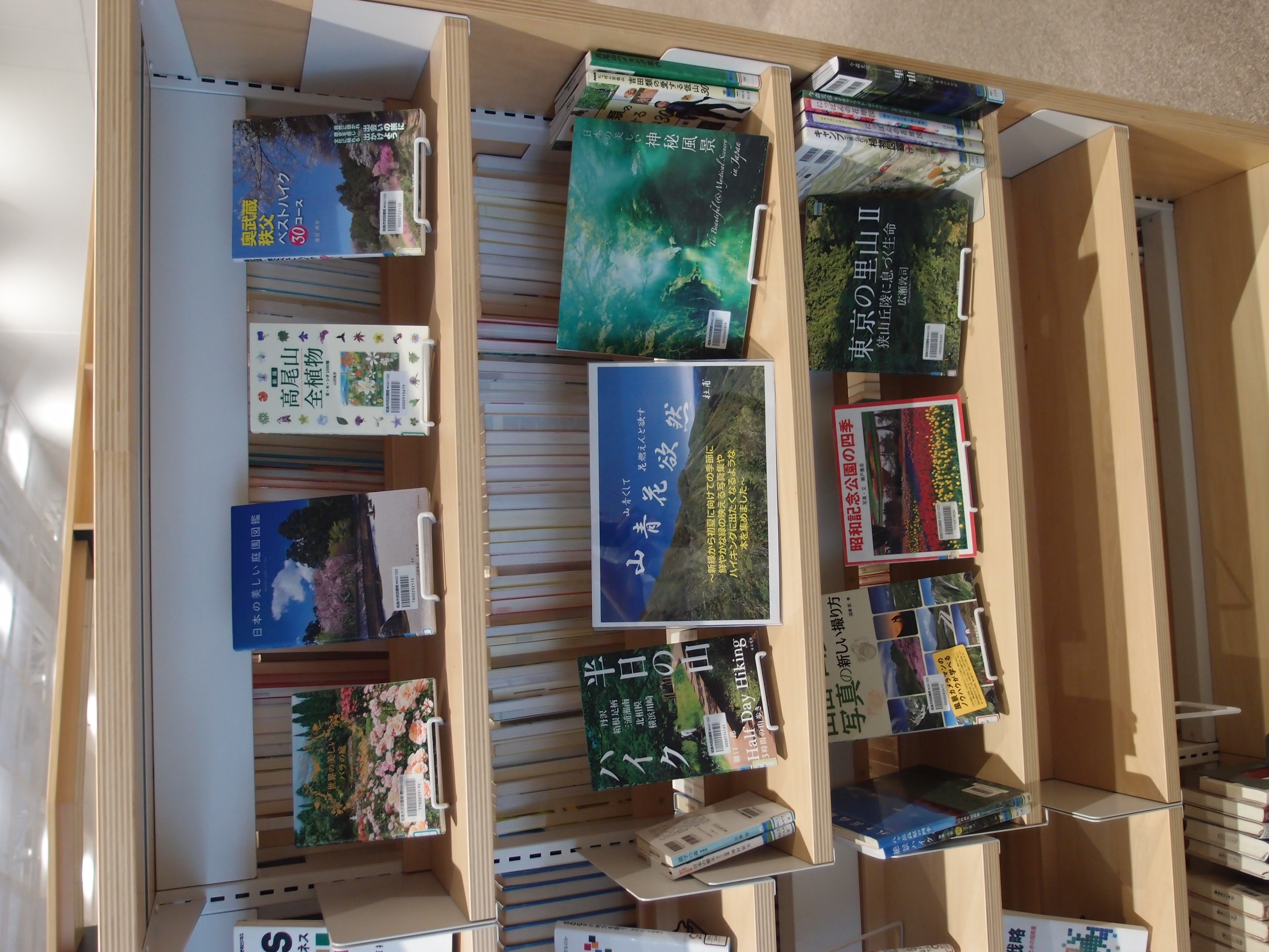 棚に展示の本が並んでいる様子の写真